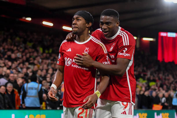 本次印度羽 本次印度羽